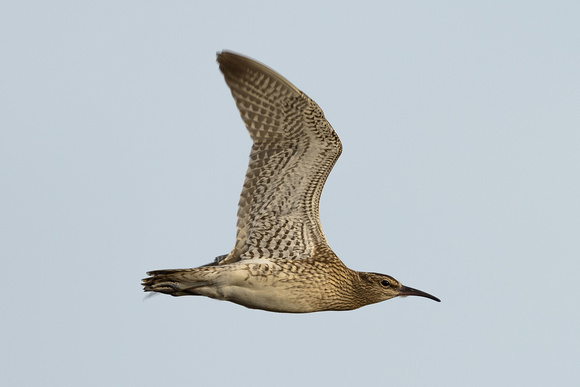 130817-31-Ijsland_NT85647-JDR-sRGB